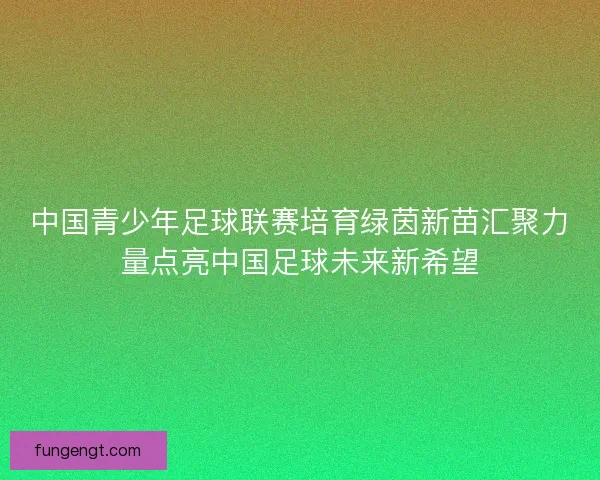 中国青少年足球联赛培育绿茵新苗汇聚力量点亮中国足球未来新希望