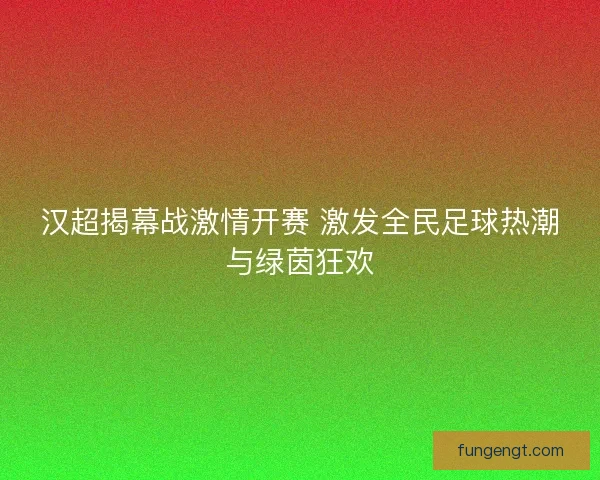 汉超揭幕战激情开赛 激发全民足球热潮与绿茵狂欢